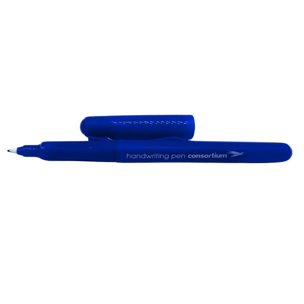 50 Blue Handwriting Pens