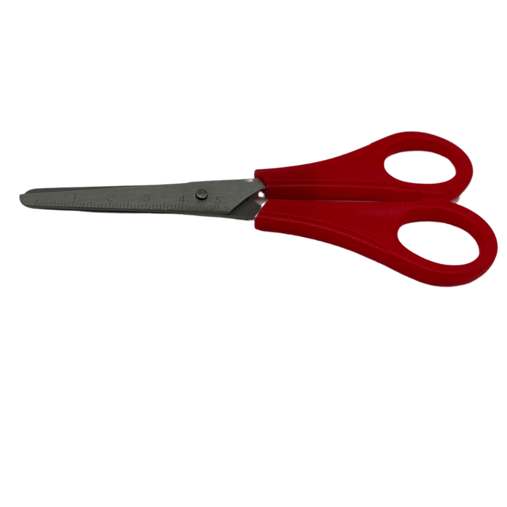 12 School Scissors